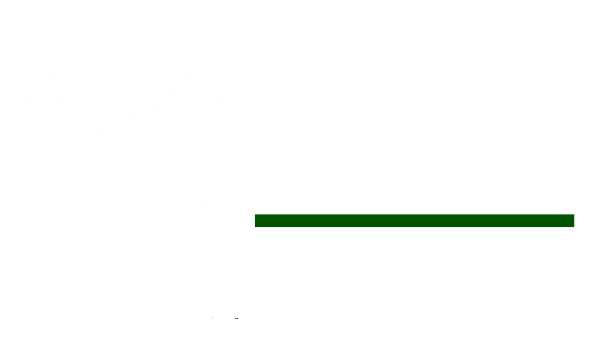 FIT BULLS